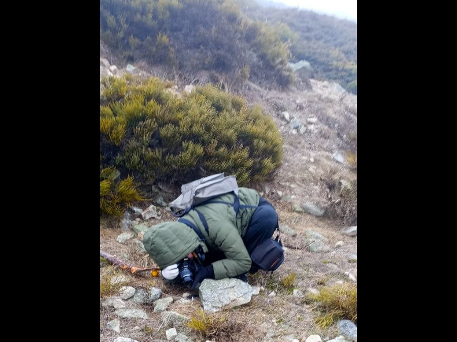 19 Fundacion-Desea_S-2026.03.21_Navacerrada_62-900x675