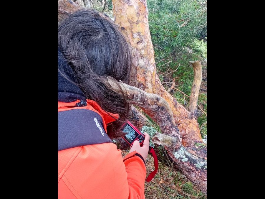 24 Fundacion-Desea_S-2026.03.21_Navacerrada_55-900x675