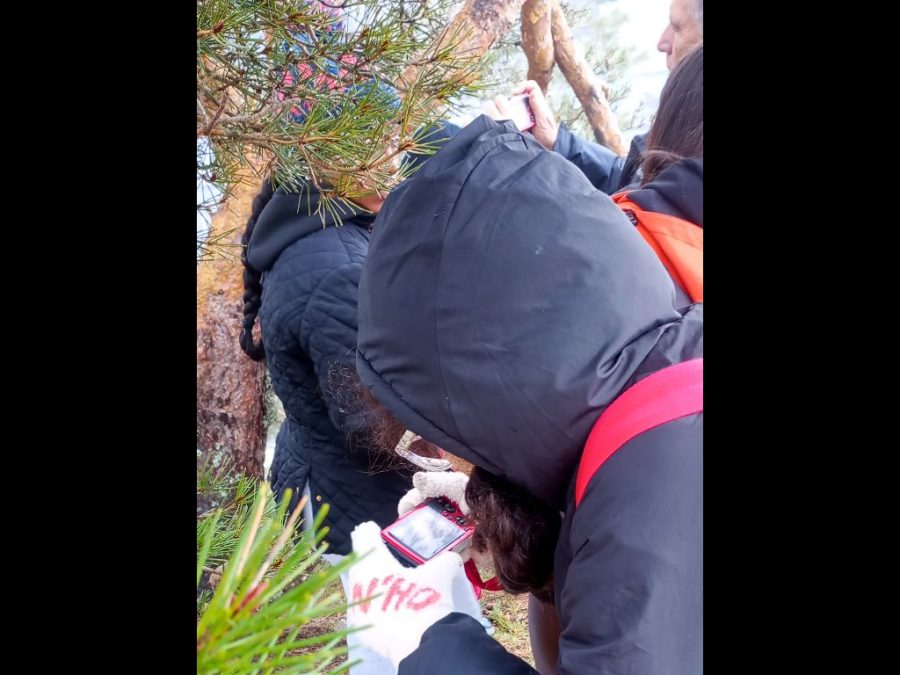 25 Fundacion-Desea_S-2026.03.21_Navacerrada_54-900x675