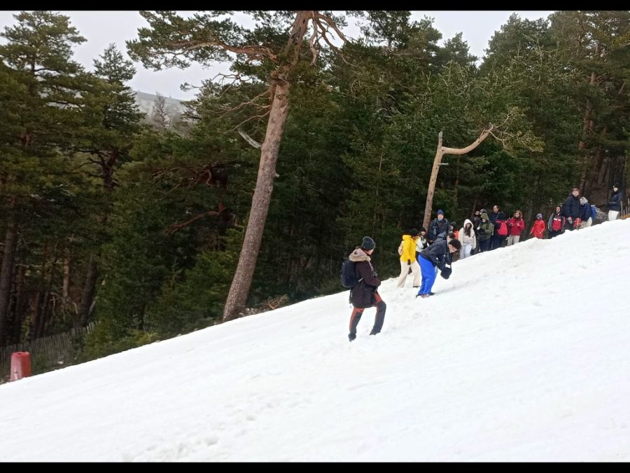 27 Fundacion-Desea_S-2026.03.21_Navacerrada_47-900x675