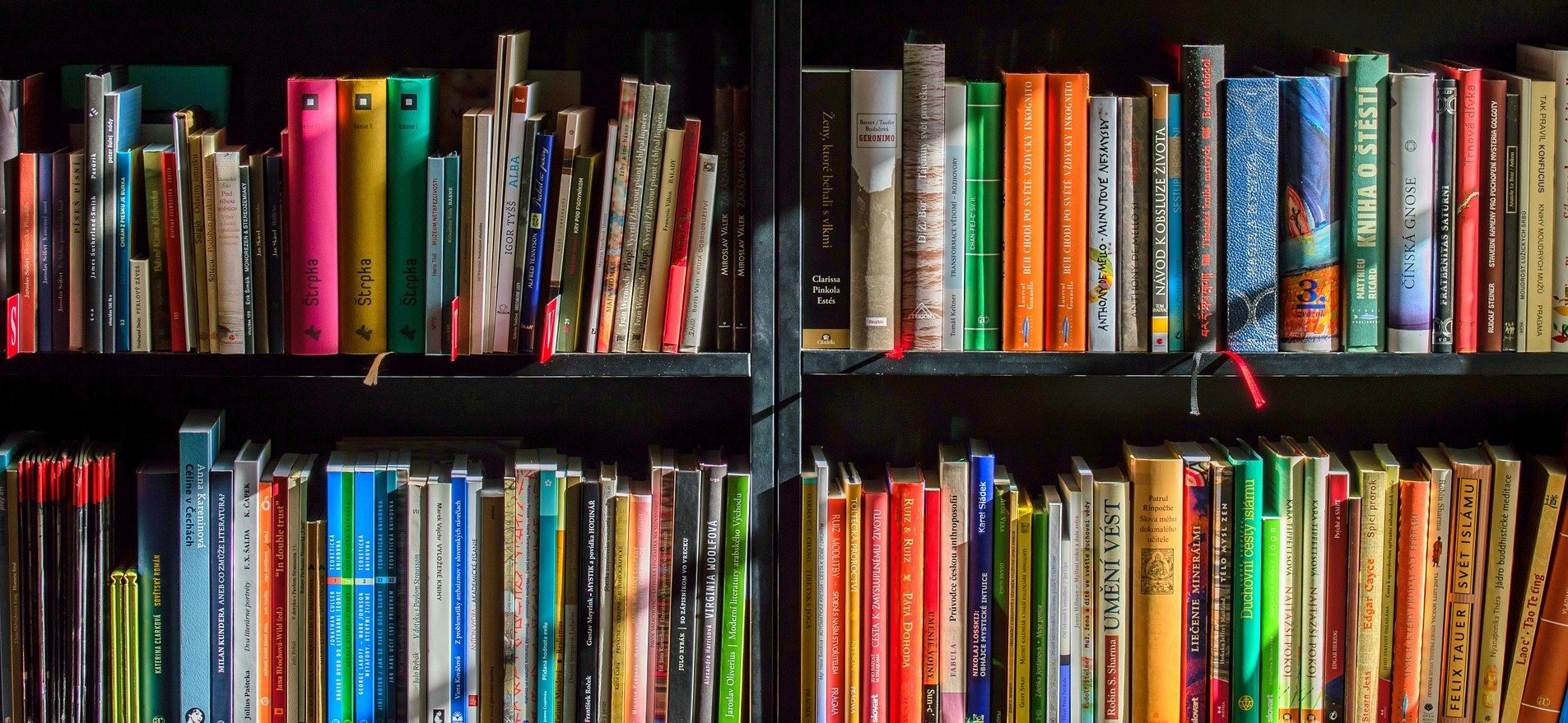 Libros (2)