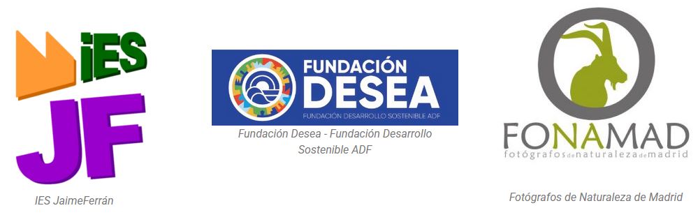 Tres logos JF Desea y Fonamad